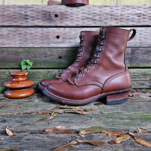 View photo of Nicks Ranger in Seidel 1964 Brown