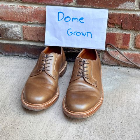 Grant Stone Plain Toe Blucher in Horween Dune Chromexcel