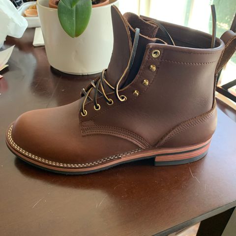 Nicks Falcon in Seidel 1964 Brown