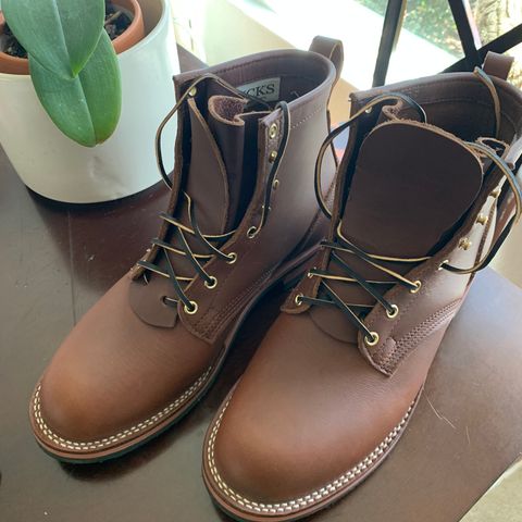 Nicks Falcon in Seidel 1964 Brown