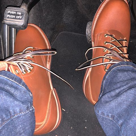 Nicks Falcon in Seidel 1964 Brown
