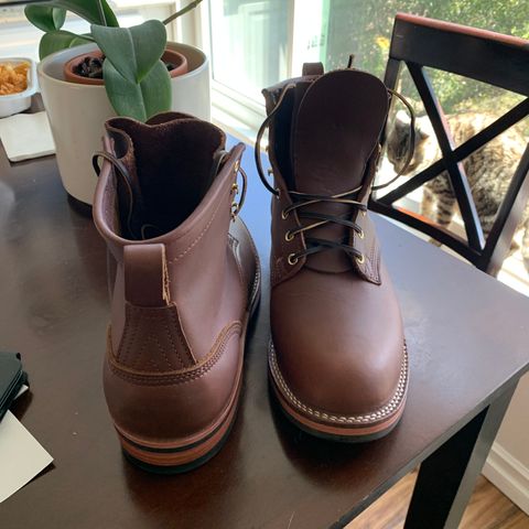 Nicks Falcon in Seidel 1964 Brown