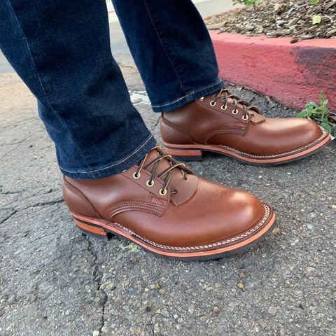 Nicks Falcon in Seidel 1964 Brown