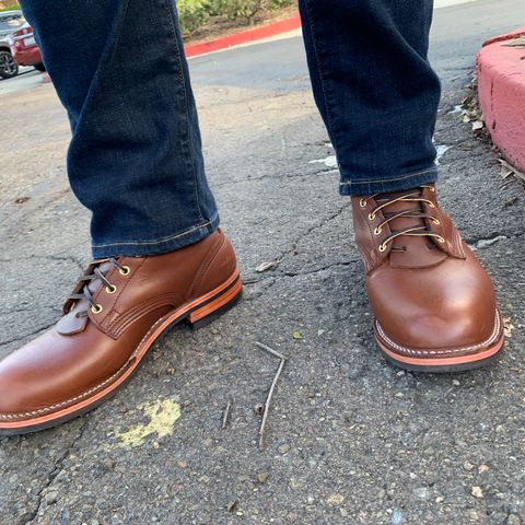 Nicks Falcon in Seidel 1964 Brown