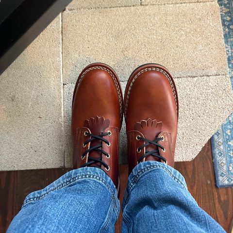 Nicks Falcon in Wickett & Craig Tan Oiled Latigo