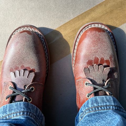 Nicks Falcon in Wickett & Craig Tan Oiled Latigo