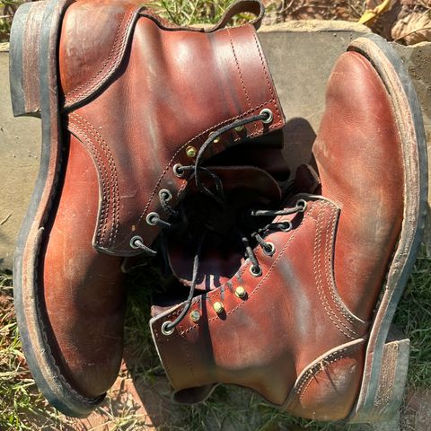 Nicks Falcon in Wickett & Craig Tan Oiled Latigo