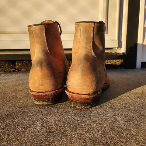 Renav Unlisted Model in Unlisted Leather