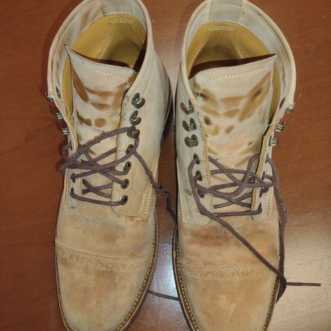 Renav ISN - 106 in Conceria Cloe Crust Shell Cordovan