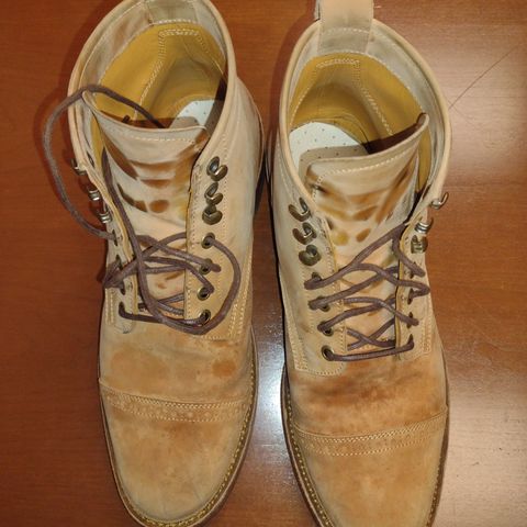 Renav ISN - 106 in Conceria Cloe Crust Shell Cordovan