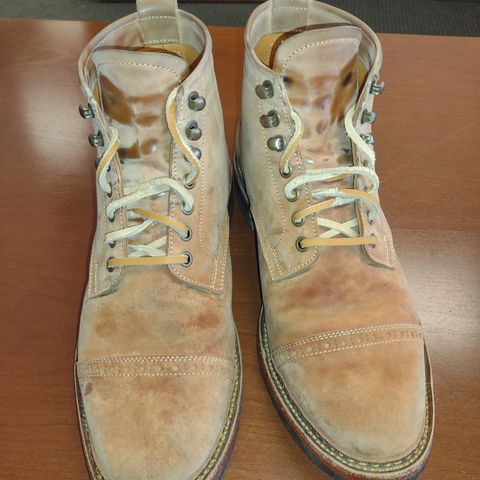 Renav ISN - 106 in Conceria Cloe Crust Shell Cordovan