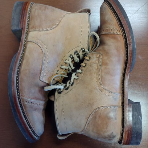 Renav ISN - 106 in Conceria Cloe Crust Shell Cordovan
