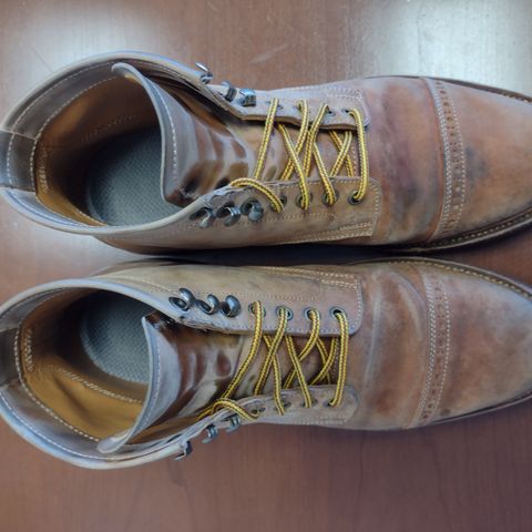 Renav ISN - 106 in Conceria Cloe Crust Shell Cordovan