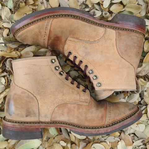 Renav ISN - 106 in Conceria Cloe Crust Shell Cordovan