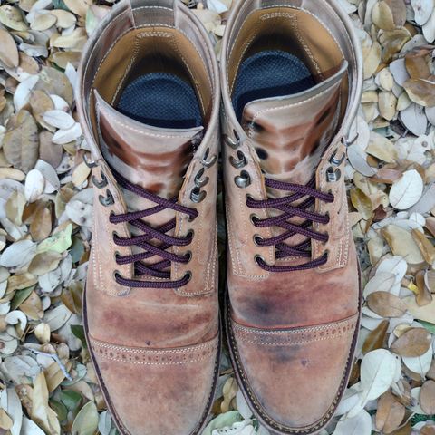 Renav ISN - 106 in Conceria Cloe Crust Shell Cordovan