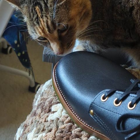 Iron Boots The Great Escape in Seidel Black Oil Tan