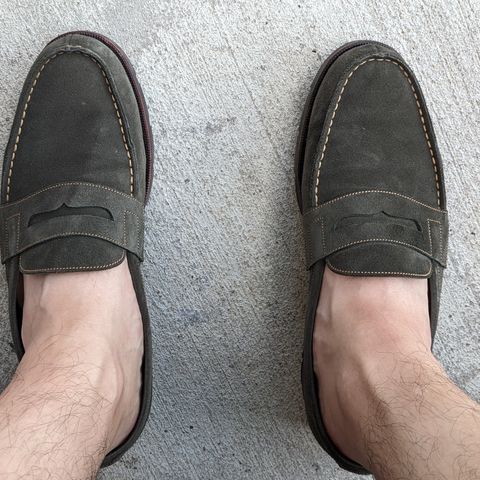 Carmina Unlisted Model in C.F. Stead Loden Janus Calf Suede