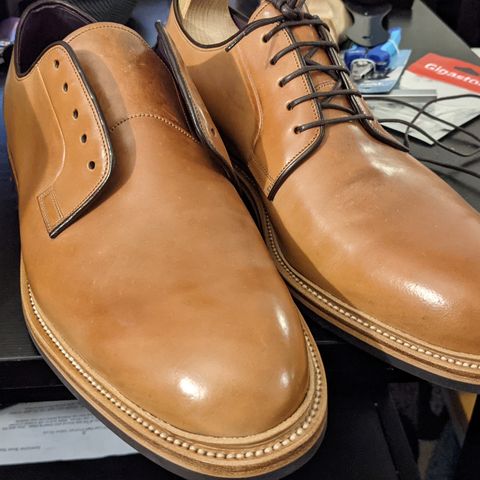 Carmina Plain Toe Blucher Shoes 531 in Horween Natural Shell Cordovan