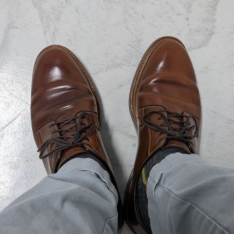 Carmina Plain Toe Blucher Shoes 531 in Horween Natural Shell Cordovan