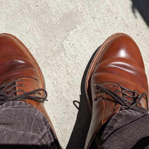 Carmina Plain Toe Blucher Shoes 531 in Horween Natural Shell Cordovan