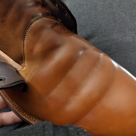 Carmina Plain Toe Blucher Shoes 531 in Horween Natural Shell Cordovan