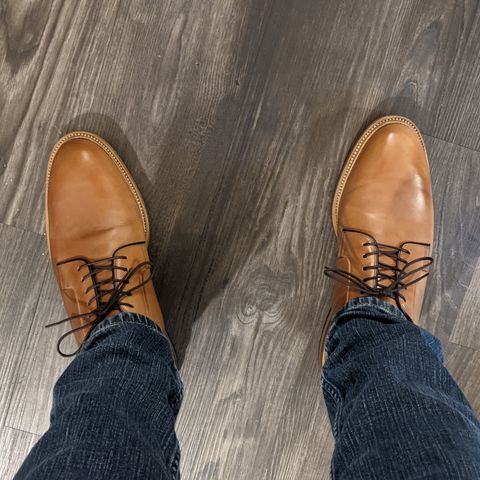 Carmina Plain Toe Blucher Shoes 531 in Horween Natural Shell Cordovan
