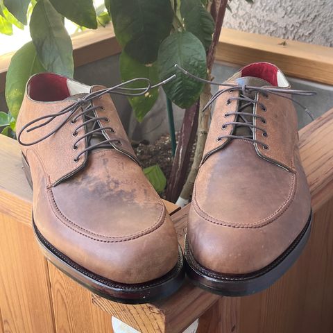 Arno Moc Toe Derby in Maryam Toscanello Rovescio Sego