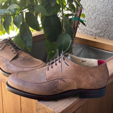 Arno Moc Toe Derby in Maryam Toscanello Rovescio Sego