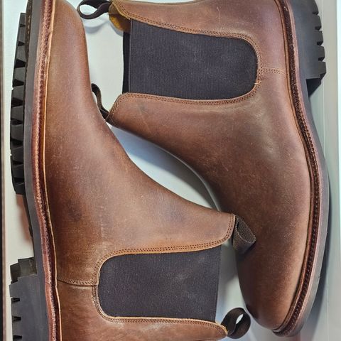 Meermin Chelsea Boot in Tobacco Waxy Shell Cordovan