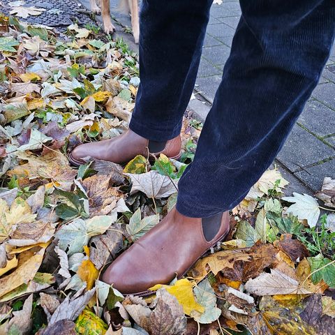 Meermin Chelsea Boot in Tobacco Waxy Shell Cordovan