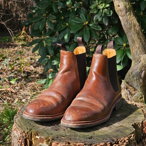 Meermin Chelsea Boot in Tobacco Waxy Shell Cordovan
