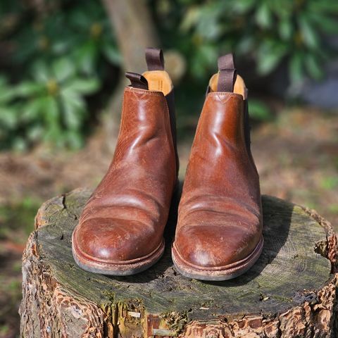 Meermin Chelsea Boot in Tobacco Waxy Shell Cordovan