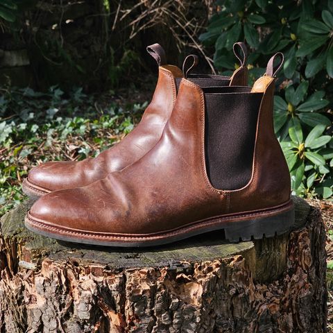 Meermin Chelsea Boot in Tobacco Waxy Shell Cordovan
