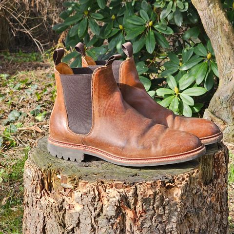Meermin Chelsea Boot in Tobacco Waxy Shell Cordovan