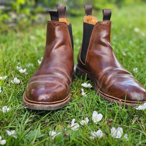 Meermin Chelsea Boot in Tobacco Waxy Shell Cordovan