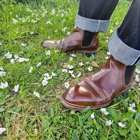 Meermin Chelsea Boot in Tobacco Waxy Shell Cordovan