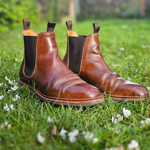 Meermin Chelsea Boot in Tobacco Waxy Shell Cordovan