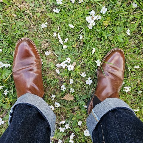 Meermin Chelsea Boot in Tobacco Waxy Shell Cordovan