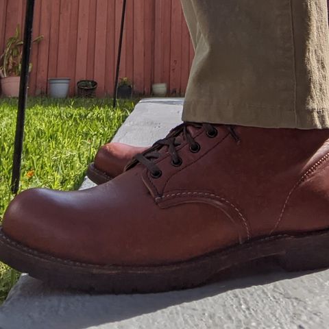 Red Wing Beckman