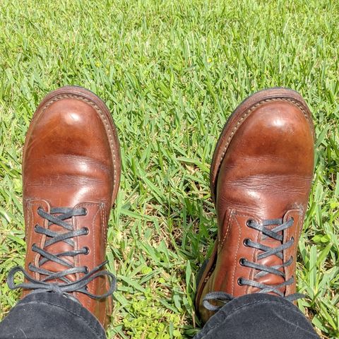 Red Wing Beckman