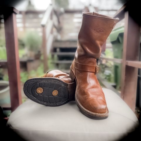 Wesco Mister Lou in Maryam Natural Horsebutt