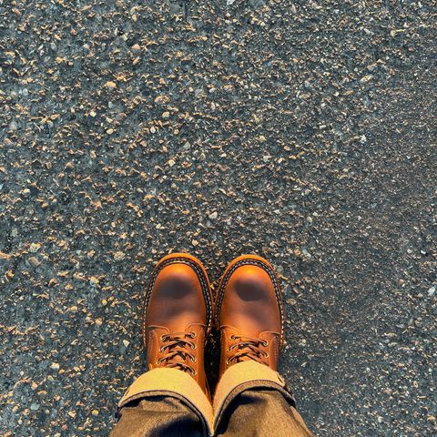 White's Farmer/Rancher in Seidel Brown Oil Tan