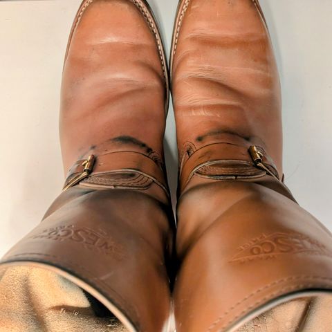 Wesco Mister Lou in Maryam Natural Horsebutt