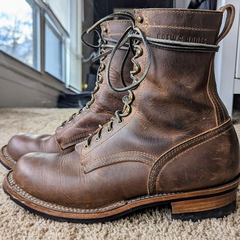 View photo of Drew's Boots 8-Inch Logger in Rowdy Smooth