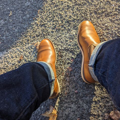 Red Wing Pecos in Unknown Leather