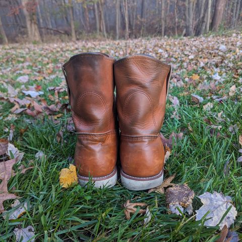 Red Wing Pecos in Unknown Leather
