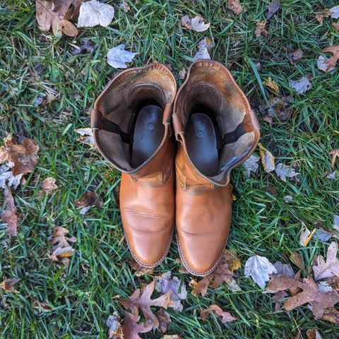 Red Wing Pecos in Unknown Leather