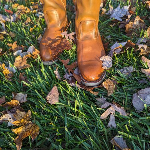 Red Wing Pecos in Unknown Leather