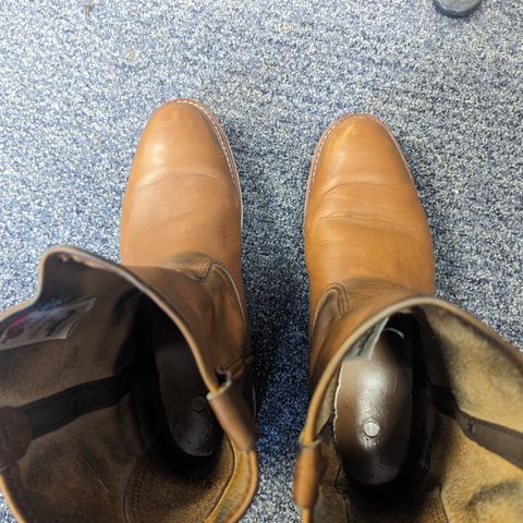Red Wing Pecos in Unknown Leather