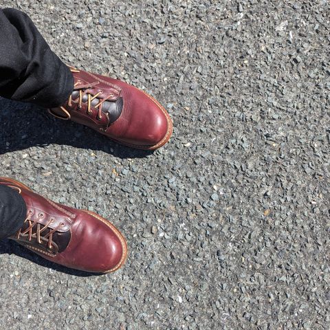 View photo of Wolverine 1000 Mile Plain-Toe Boot in Horween Color 8 Chromexcel